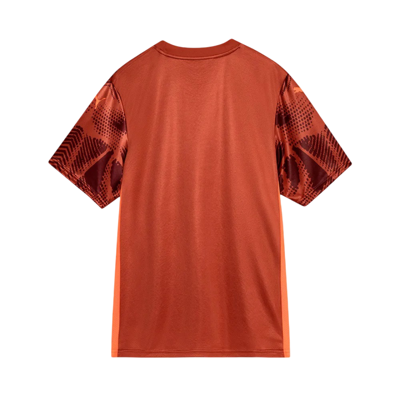 Camisa Palmeiras Goleiro 25/26 - Laranja