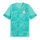 Camisa Palmeiras Treino 26/27 - Verde
