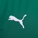 Camisa Palmeiras Home 26/27 - Verde